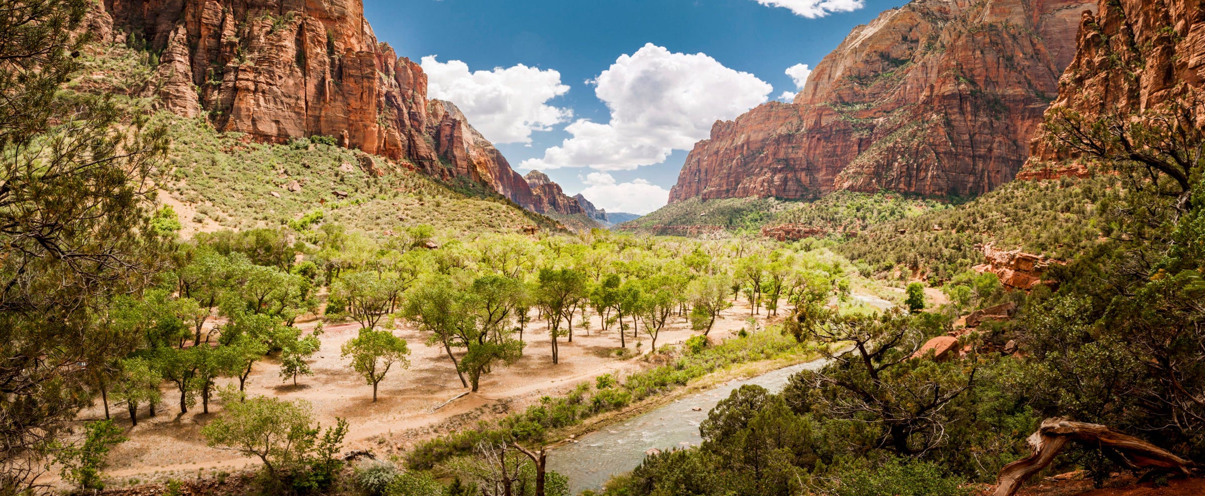 Zion NP